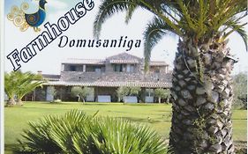 Domus Antiga Appartamenti